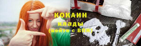 индика Белокуриха