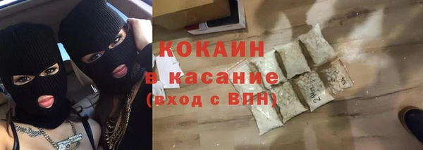 индика Белокуриха