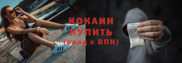 индика Белокуриха
