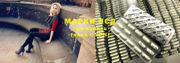 индика Белокуриха