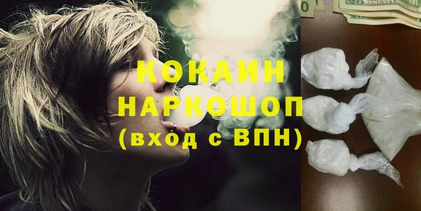 индика Белокуриха
