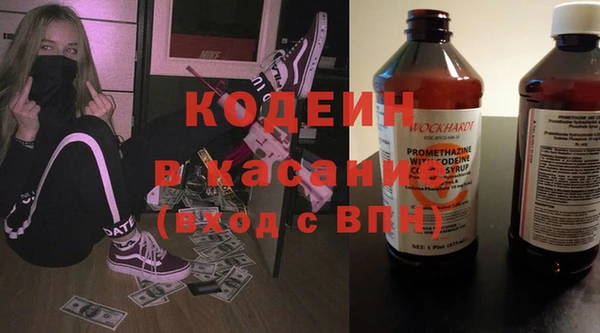 индика Белокуриха